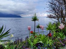 The lakeside at Montreux on quite a cold day in April, with the icy "bise" blowing down the lake 