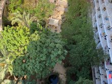 The garden court with garden view rooms 