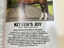 The most successful US turf stallion before many years at $100K (that’s a lot for a turf sire here)