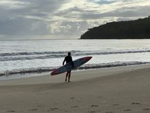 Surfing in Noosa Head, Oz