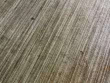 Club Lounge carpeting