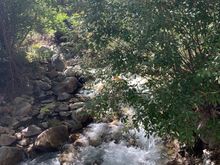Pine Creek