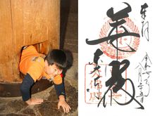 [URL=https://en.japantravel.com/nara/todaiji-temple-in-nara/14221#:~:text=According%20to%20the%20legend%2C%20the%20size%20of%20the%20hole%20is%20equivalent%20to%20the%20Buddha%20statue's%20nostril%20and%20if%20you%20do%20crawl%20through%20you%20will%20be%20blessed%20health%20and%20happiness.]Buddha’s nostril[/URL], Todaiji, Nara