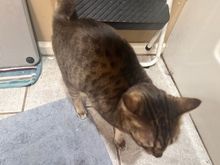 No privacy at my house