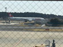 our bird landing on arrival 