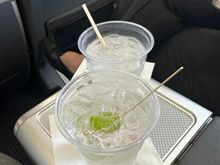 AA 3113 full PDB.   Friendly crew.   