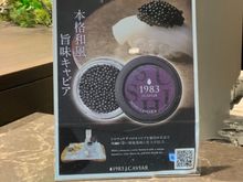 Served between 07:00 - 11:00 and between 19:00 - 23:00.