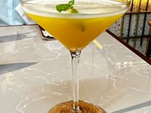 Mixology Cocktail - Fresh Fruits
