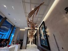 Lobby artwork 