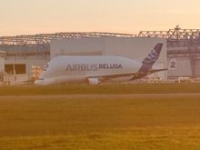 Beluga at TSL!