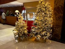 The Ritz-Carlton, Vienna (Lobby)