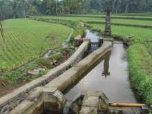 Irrigation