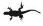 Galapgos  Marine Iguana
