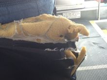 usairways bus #1