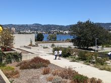 The tragic view of Oakland Anarchy on a Sunday afternoon from the OMCA