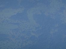 Tropical rain forest in Mozambique (from EK772 CPT-DXB)