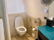 toilet