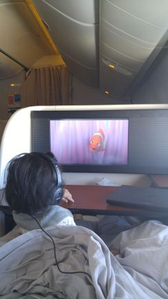 Speaking of infants in premium cabins... one of my favorite pictures of my daughter.

Babies cry on airplanes. Its is a part of life. If the parents did absolutely nothing, I could sympathize with the OP. I highly doubt the parents did nothing.