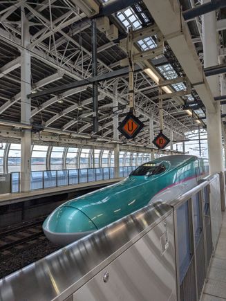 Not DL-related, but riding Gran Class on the Shinkansen is the way to go.