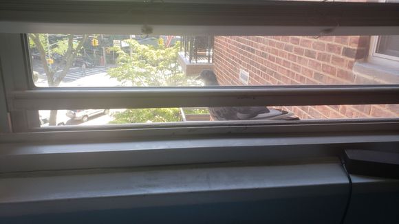 Intruder alert!