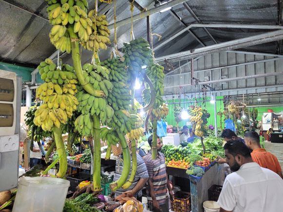 Local Market