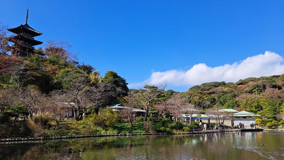 Sankeien garden close to Negish JR Station ( bus, walk 45 min or Y1500 taxi -beautiful)