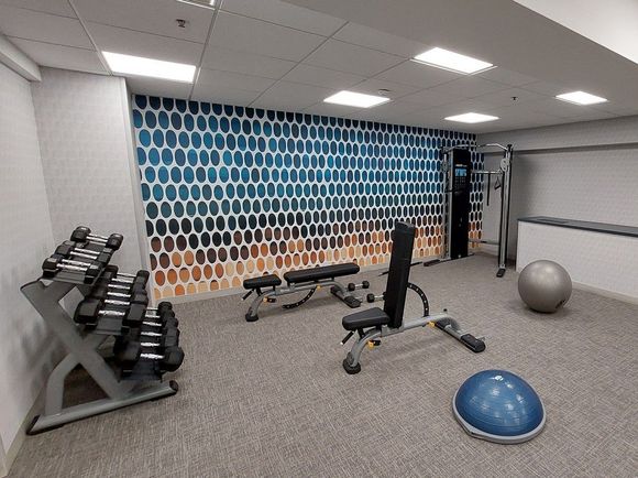 Fitness Center / Holiday Inn Chicago Downtown Wolf Point