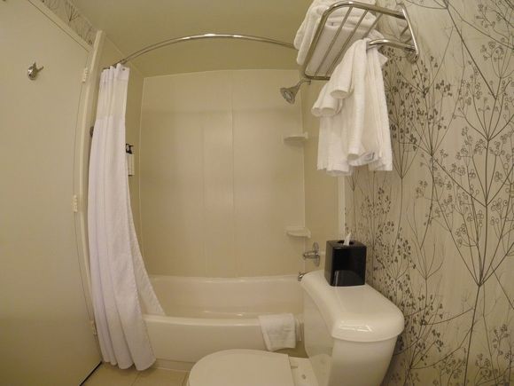 Bathroom / Crowne Plaza Crystal City
