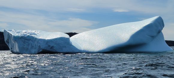 Iceberg from a boat