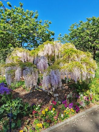 Botanic Garden