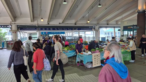 Many places in Hong Kong forbid street hawking, the pier is presumably an exception, or someone forgot to hang up the sign. 