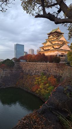 Weather cleared by 4pm so got this photo of Osaka castle in the late afternoon sun