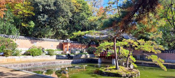 The korean garden  area