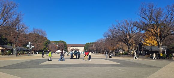 Ueno park facing Tokyo National Museum and starbucks on the left.  A few red maple trees still had leaves on