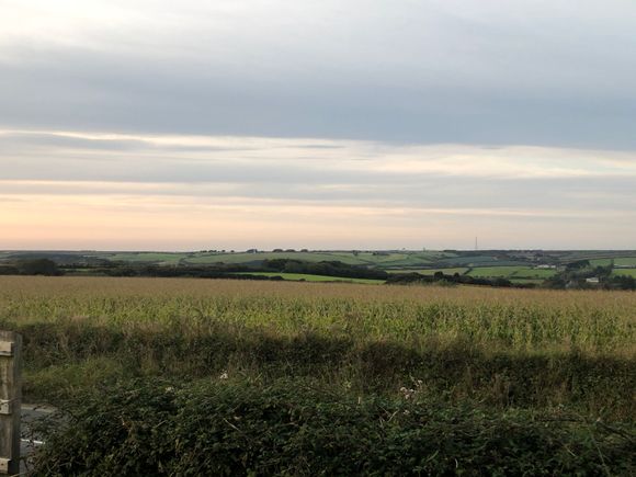 The view when you exit arrivals 