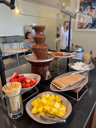 chocolate fountain of questionable quality 