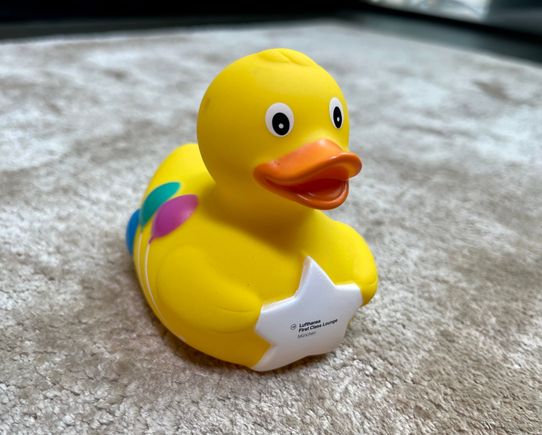 MUC Birthday Duck