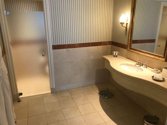 Toilet and sink