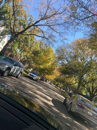 Highland park neighbourhood. So nice!!!