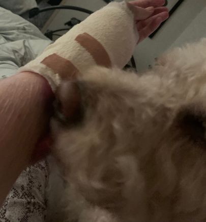 I had an operation Saturday. I’m always amazed by the gentle attention and generosity of love dogs are capable of. They are the best of us. My Gallus Harry having a gentle wee sniff n lick around the bruising at the top of my bandages. He’s been so attentive.