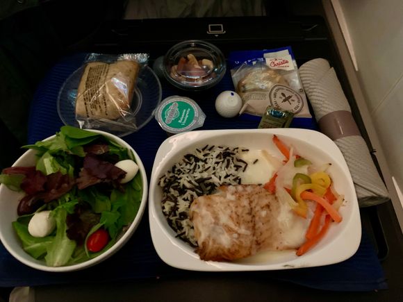 Salmon SFO-DEL (12/24)
