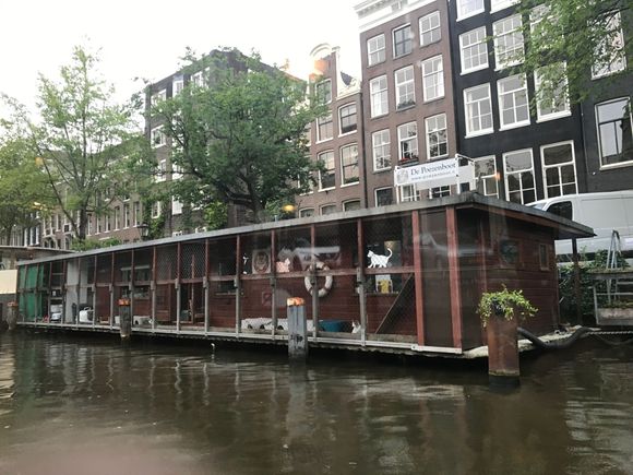 Poezenboat