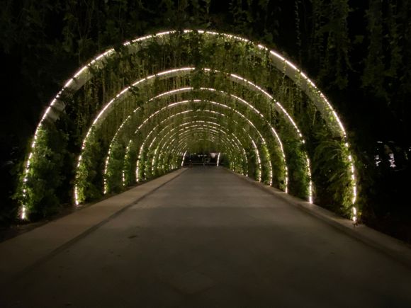The refurbished entrance. It is the same on both sides!