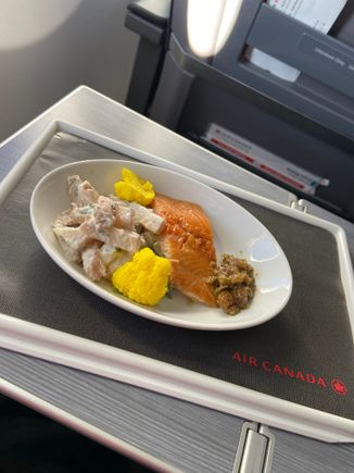 YVR-YYC on Max8

Salmon 

