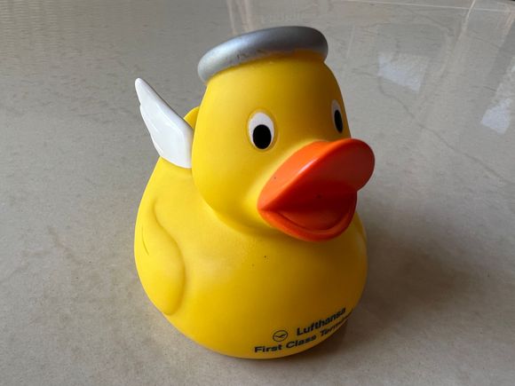 previous FCT Duck