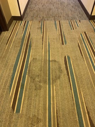 Filthy hallway carpeting