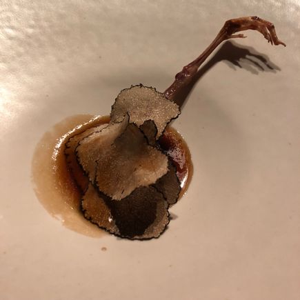 Quail leg