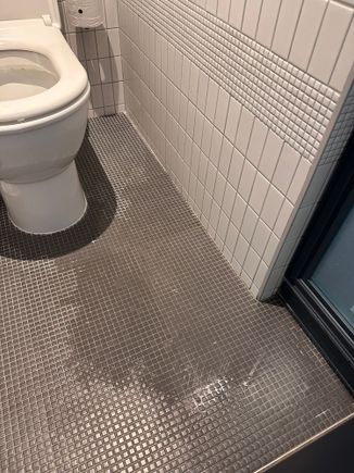A large amount of water leaking from the shower into the toilet. 