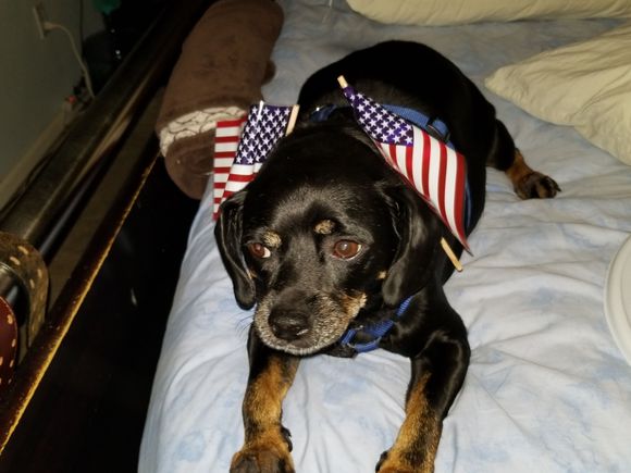 4th of July a few years ago