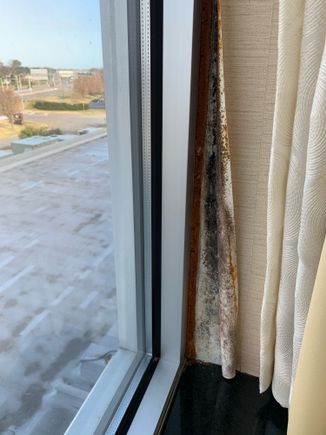 Mold at Doubletree Norfolk 